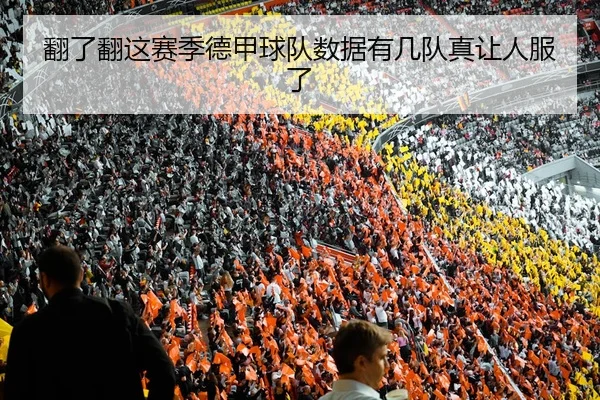 翻了翻这赛季德甲球队数据有几队真让人服了