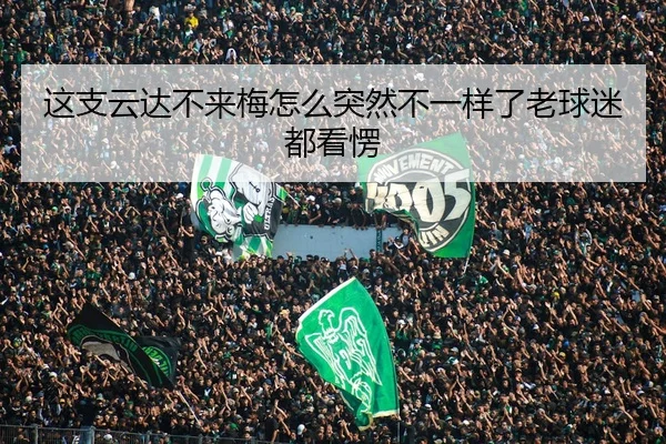 这支云达不来梅怎么突然不一样了老球迷都看愣