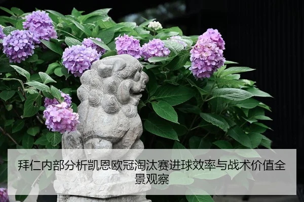 拜仁内部分析凯恩欧冠淘汰赛进球效率与战术价值全景观察