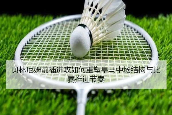 img_1779233469945_2472_1_845.jpg